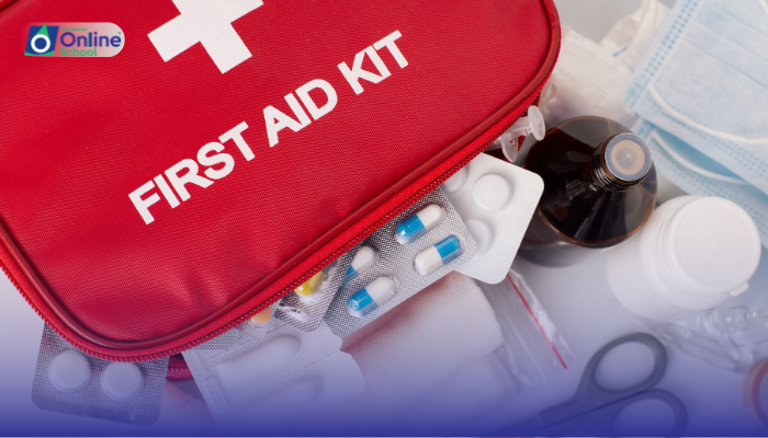 Lesson 01: Essential First Aid Procedures: Handling Minor Injuries with Care